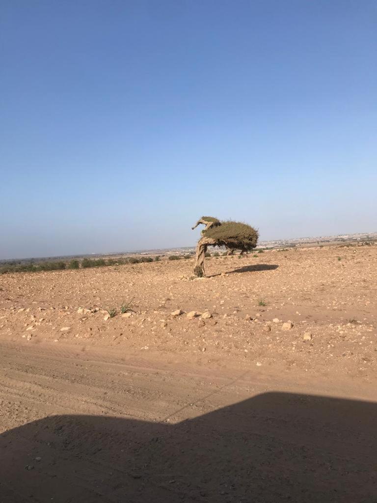 Riad Targante Takate 1 Sidi Bibi Екстериор снимка